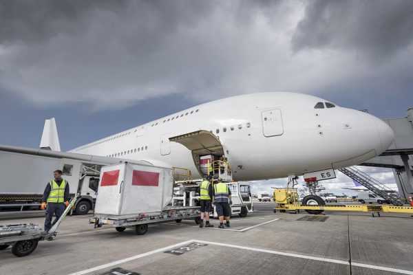 Ground crew loading freight onto A380 aircraft